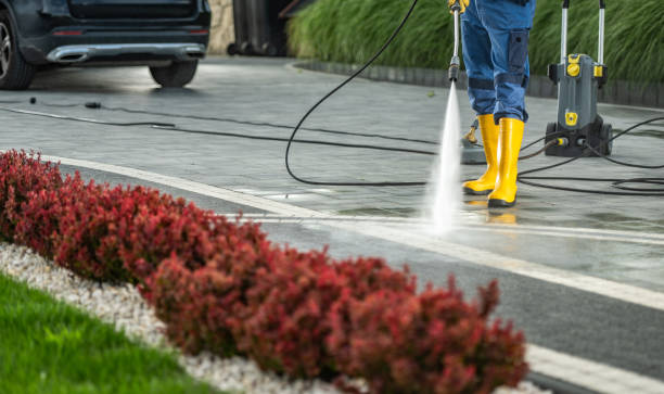 Best Residential Pressure Washing in USA